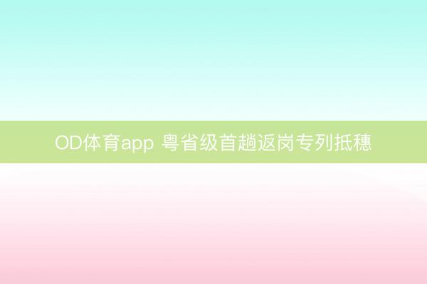 OD体育app 粤省级首趟返岗专列抵穗