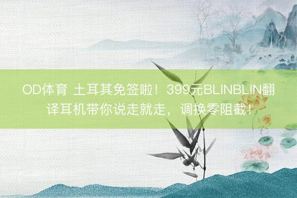 OD体育 土耳其免签啦！399元BLINBLIN翻译耳机带你说走就走，调换零阻截！