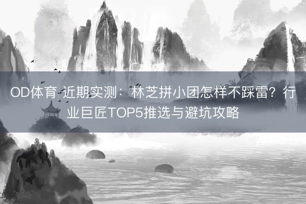 OD体育 近期实测：林芝拼小团怎样不踩雷？行业巨匠TOP5推选与避坑攻略