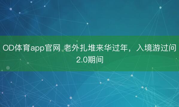 OD体育app官网 老外扎堆来华过年，入境游过问2.0期间