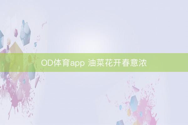 OD体育app 油菜花开春意浓