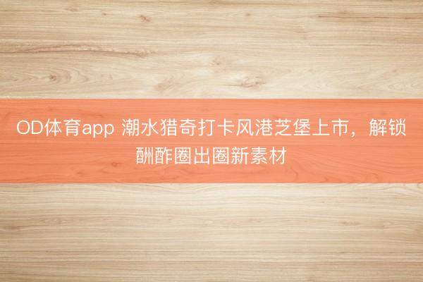 OD体育app 潮水猎奇打卡风港芝堡上市，解锁酬酢圈出圈新素材