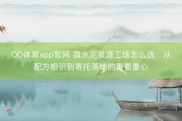 OD体育app官网 微水泥泉源工场怎么选:从配方相识到寄托落地的重要重心