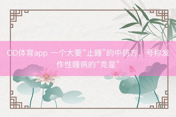 OD体育app 一个大要“止睡”的中药方,号称发作性睡病的“克星”