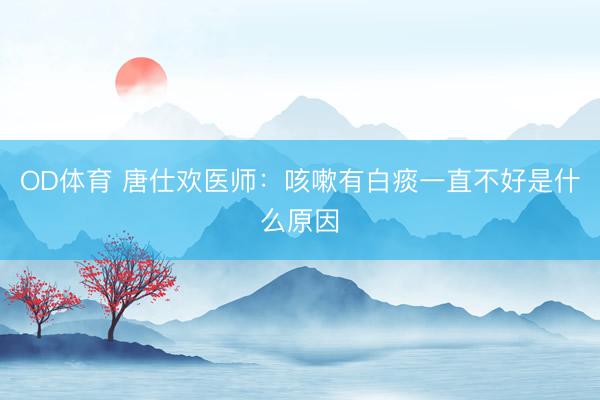 OD体育 唐仕欢医师：咳嗽有白痰一直不好是什么原因