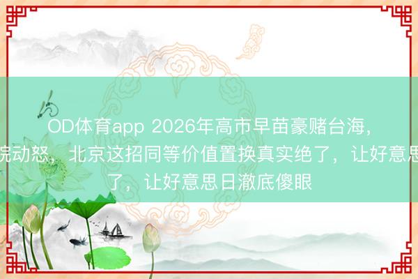 OD体育app 2026年高市早苗豪赌台海，限制自家后院动怒，北京这招同等价值置换真实绝了，让好意思日澈底傻眼