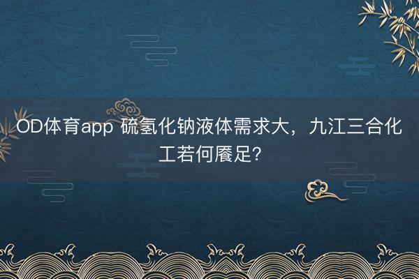 OD体育app 硫氢化钠液体需求大，九江三合化工若何餍足？